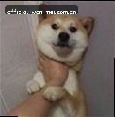 王浩